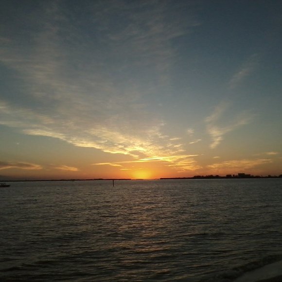 Meet your Posher, Posh - Picture 14 of 16